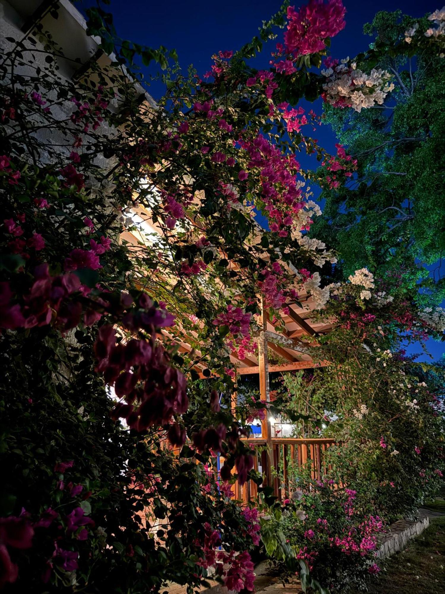 Hotel Jardin Boutique Rodadero 圣玛尔塔 外观 照片