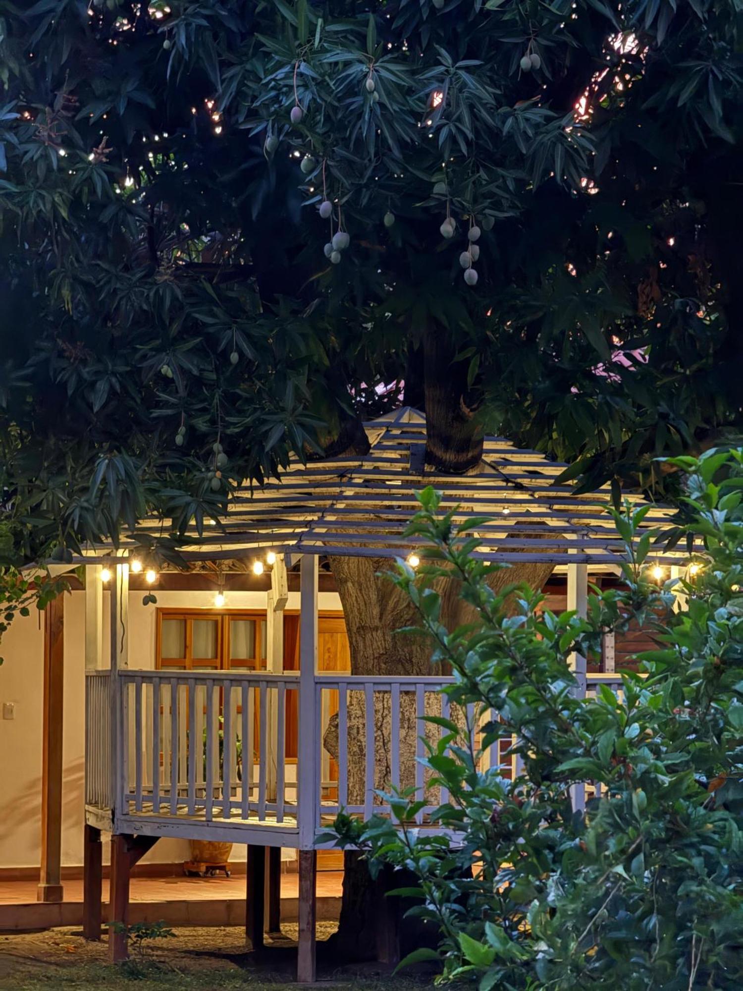 Hotel Jardin Boutique Rodadero 圣玛尔塔 外观 照片