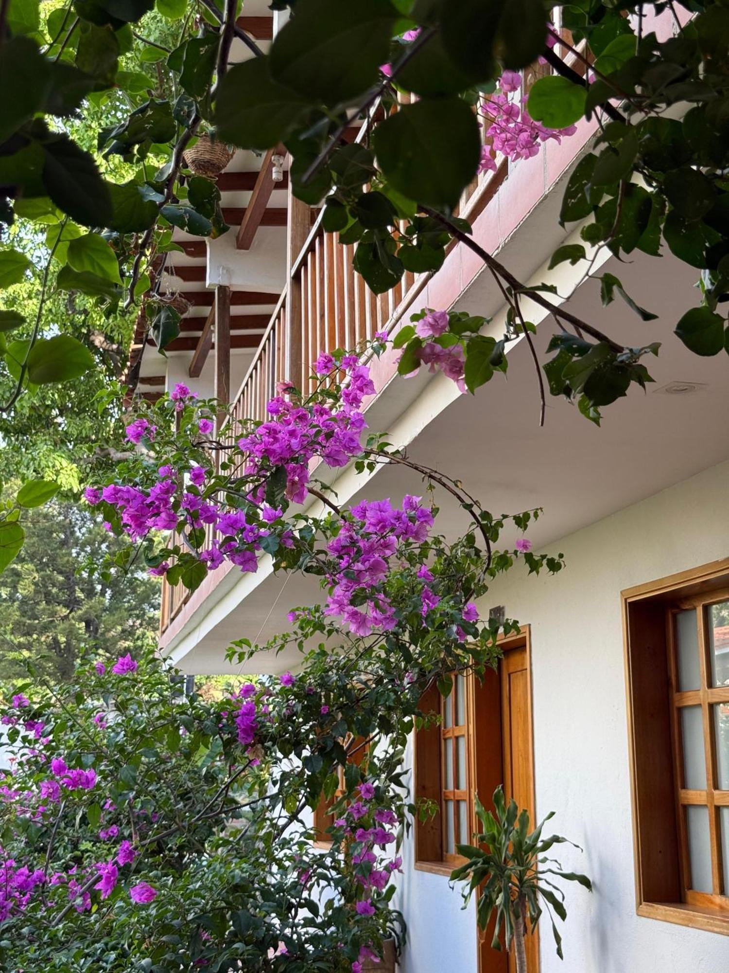 Hotel Jardin Boutique Rodadero 圣玛尔塔 外观 照片